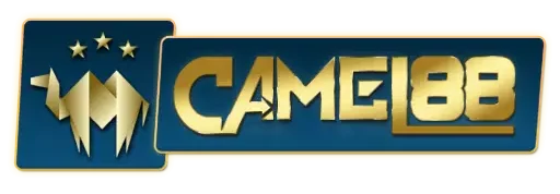 camel88